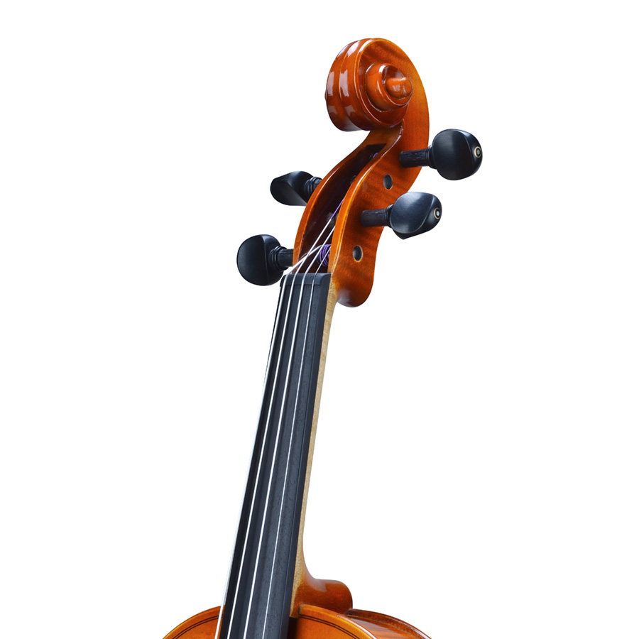 Bellafina Bavarian Viola