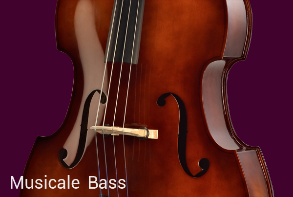 Bellafina Musicale Bass
